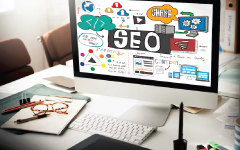 Organic Traffic & SEO